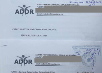 ADOR a depus o plangere la DNA Iasi pentru abuz in serviciu si una la CEJI Iasi, impotriva celor trei executori care nu au fost in stare sa incredinteze copii dnei Vasilica Mihaila, desi exista o hotarare definitiva
