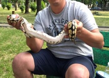 ANI a luat cunostinta despre incompatibilitatea primarului din Valea Lupului. Intra sa o vezi pe Elena Sălăvăstru în toata splendoarea ei si raspunsul amuzant dat de primarie la solicitarile pe cazul Mihaila