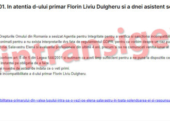 Vrem documentele care atesta pregatirea profesionala a d-nei Elena Sălăvăstru, veniturile din bani publici, fisa postului si evaluarile profesionale din ultimii 4 ANI. Transparenta sa fie!