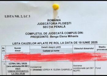 Elena Udrea, în fața instanței prin videoconferință pe 19 iunie 2025, la Judecătoria Ploiești