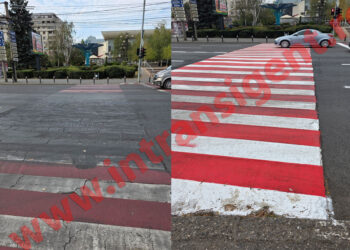 Amenda care mângâie pe creștet primarul și zebrele care au murit cu demnitate