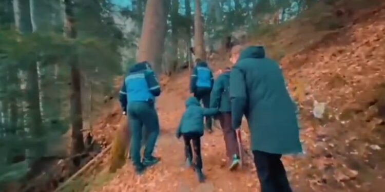 Trei turiști străini, între care un copil, ajutați de jandarmii montani după întâlnirea cu o ursoaică cu 2 pui