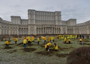 Legea minelor strategice sau cum se poate transforma „interesul public” în culoar preferențial pentru privați