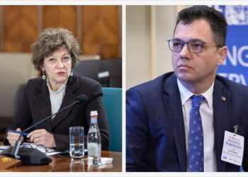 Ștefan Radu Oprea lovește din nou: „Elefantul din încăpere” este metoda prin care Oana Gheorghiu ar vrea listarea companiilor de stat