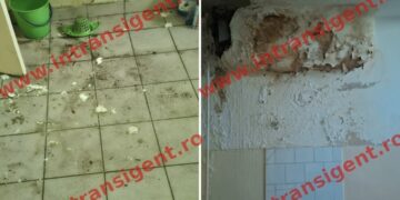 Policlinica Cina, lăsată să putrezească sub ochii Primăriei Ploiești. Subsol degradat și miros de mucegai într-o clădire cu risc seismic II