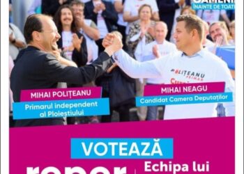 Cazul Mihai Neagu (MNP} sau cum se îngroapă o problemă de legalitate sub hârtii comode, întrebări slabe și răspunsuri convenabile