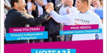 Cazul Mihai Neagu (MNP} sau cum se îngroapă o problemă de legalitate sub hârtii comode, întrebări slabe și răspunsuri convenabile