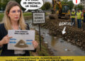 De la „dâmbul” de pe Dunăre la Dâmbu din Ploiești. România “administrată” de Diana Buzoianu după principiul: întâi facem, apoi aflăm ce-am făcut