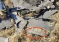 România a ajuns la 45 de pătrunderi aeriene neautorizate. Cât ne costă și ce strategie are statul?