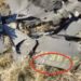 România a ajuns la 45 de pătrunderi aeriene neautorizate. Cât ne costă și ce strategie are statul?